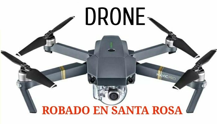 Voló muy lejos: Delsol pidió que la policía «actué más rápido» a una semana del robo de un drone