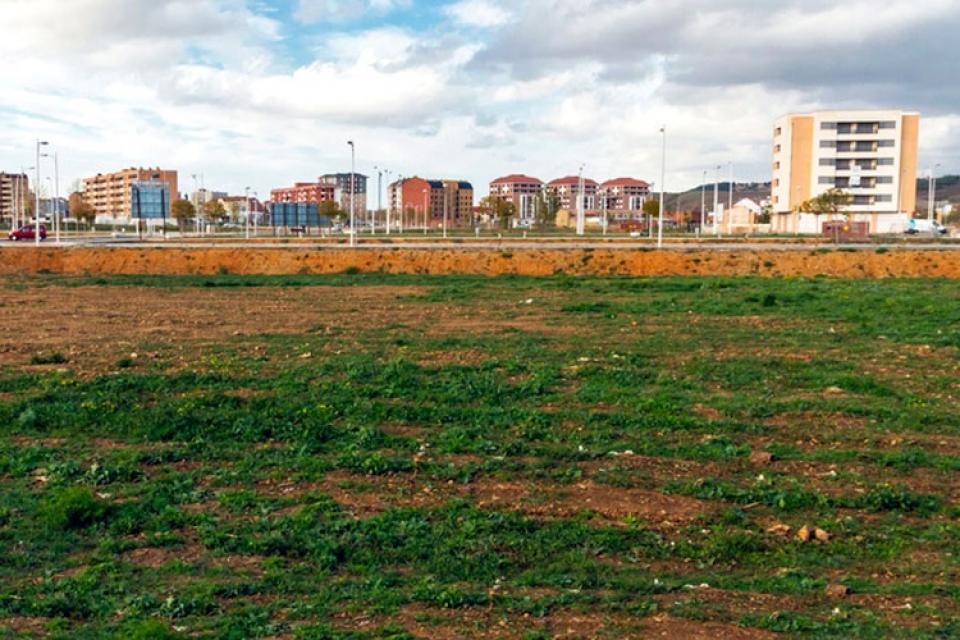 Es un buen momento para plantar un árbol: El Gobierno lanzó el Plan Nacional de Suelo Urbano