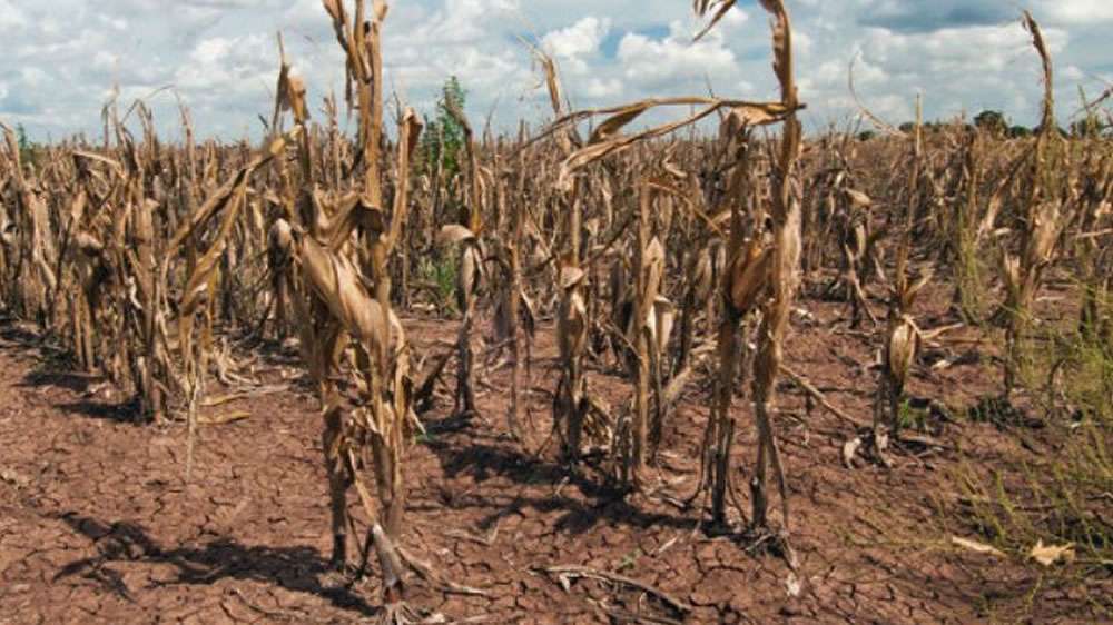Feriado nublado, pero sin lluvia: La última precipitación de importancia fue a principios de marzo; preocupación en sectores rurales