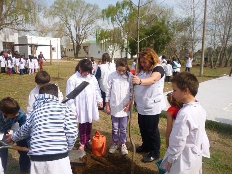 Una enseñanza para los más peques: El municipio lanzó el programa “Los árboles del patio de mi escuela”