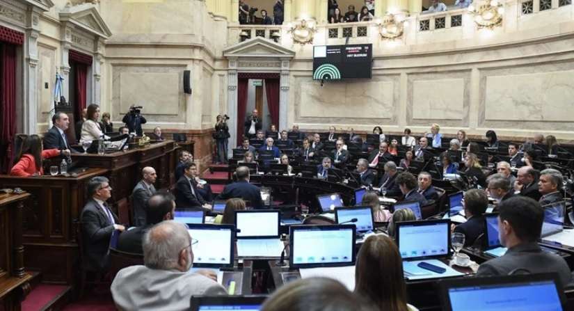 Se cayó a pedazos: Con la negativa de Bensusán y la oposición, el DNU de Milei fue rechazado en el Senado