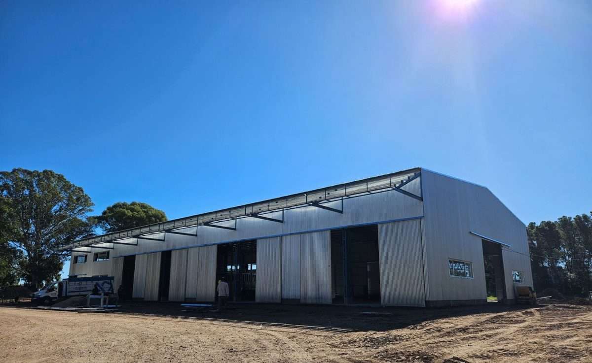 A toda máquina: Avanza la obra del Mercado Concentrador en Santa Rosa