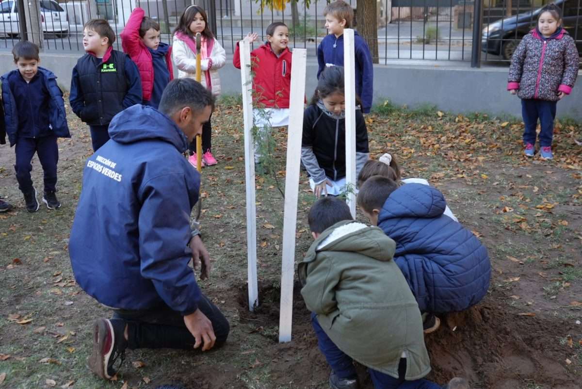 Only verde la city: El Municipio continúa con el Programa “Los Árboles del patio de mi Escuela”