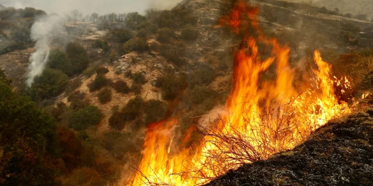 De mal en peor: Los fenómenos climáticos serán más severos en 2025