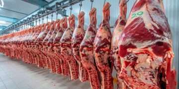 Hasta Trump hace campaña: EEUU cuadriplica su consumo de carne vacuna argentina y le da un nuevo salvataje a Milei