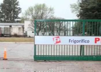 Realmente, angustiante: Alrededor de 450 empleados del Frigorífico Pico, a la calle; la planta de faena cierra sus puertas