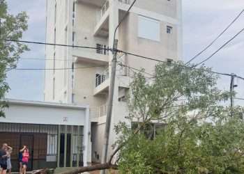 Reventó todo: Tras el temporal, más de 200 viviendas de Santa Rosa siguen sin electricidad