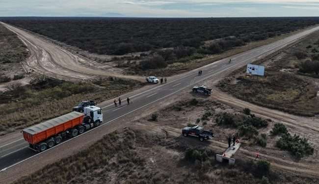 Leña para el carbón: La policía realizó varios operativos rurales y en uno secuestraron 8.000 kilos de algarrrobo