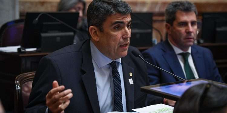 Habló de entrega de soberanía: Bensusán llamó “mamarracho” al texto sobre propiedad privada de Milei